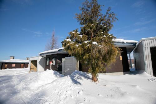 un arbre dans la neige devant un bâtiment dans l'établissement Starry Sky Cottage 17, à Bihoro