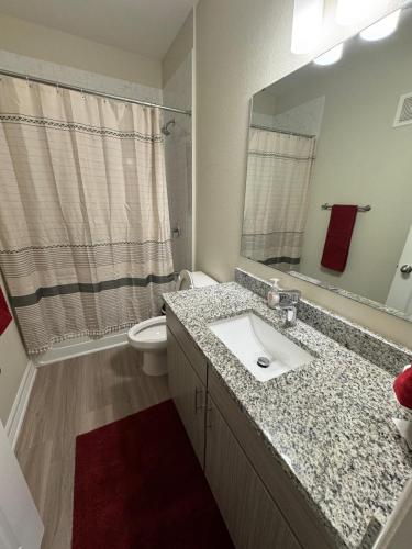 a bathroom with a sink and a toilet and a mirror at Stylish 1BHK, 1 Bath in Cedar Park, Austin, TX in Cedar Park