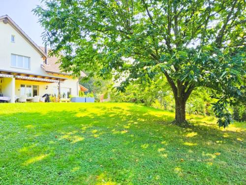 Zahrada ubytování Exklusives 5 Zimmer Haus an bester Lage nähe Baden Zürich