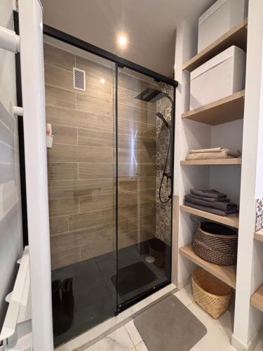 une douche avec une porte vitrée dans une salle de bain dans l'établissement Front de mer,plage, piscine, parking, à Cagnes-sur-Mer