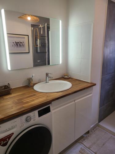 une salle de bain avec un lavabo et une machine à laver dans l'établissement maison de famille, 5mn du vieux port, calme absolu, à La Ciotat