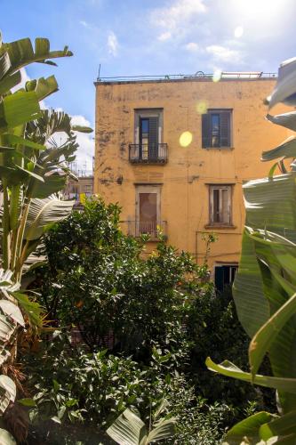 Napoli Connect Guesthouse