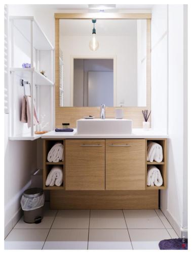 une salle de bain avec un lavabo et un miroir dans l'établissement Elegant 4 pieces avec 2 Parking à 20 min de Paris et Disney, à Villiers-sur-Marne