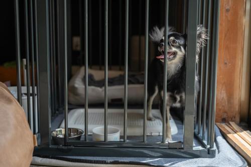 a dog in a cage with its mouth open at ドッグラン付きのプライベート宿伊豆月ヶ瀬修善寺RVillage in Izu
