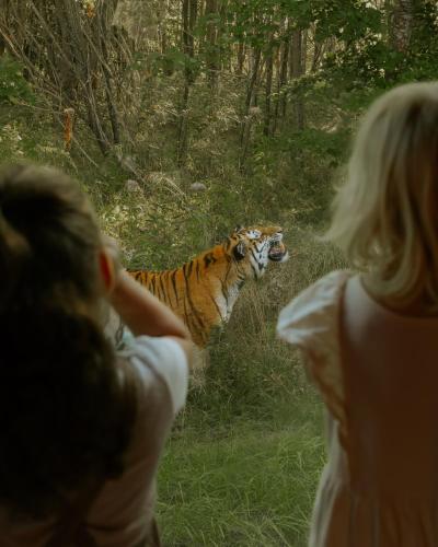 Animales en el parque vacacional o alrededores
