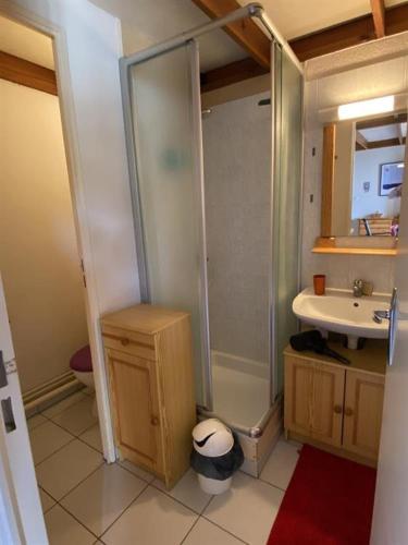 une salle de bain avec douche et lavabo dans l'établissement Appartement 2 pièces 4 couchages Dolus d'Oléron DDO000-004, à Dolus-d'Oléron