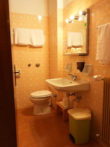 Koupelna v ubytování Hotel Davost