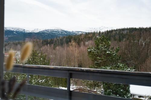 a window with a view of a forest and mountains at Heart of Polen appartements in Piechowice