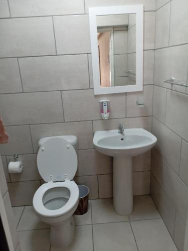 a bathroom with a toilet and a sink at Eden Guest Farm in Bloemfontein