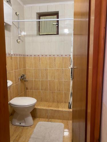 a small bathroom with a toilet and a shower at Vila Mila in Petrovac na Moru