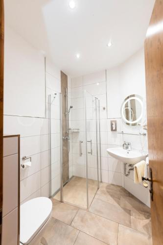 a bathroom with a shower and a toilet and a sink at Weingut und Gastehof Borst in Nordheim