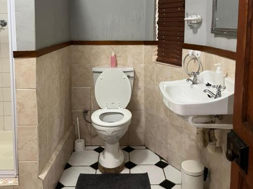 a bathroom with a toilet and a sink at Wooden Door Guesthouse in Brits