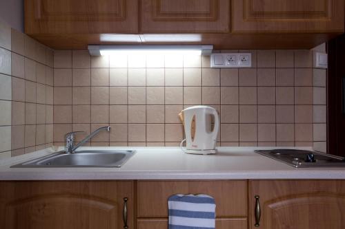 a kitchen counter top with a sink and a sink at Krakow Townhouse in Kraków