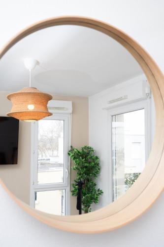 un miroir dans une pièce avec une plante et une fenêtre dans l'établissement Le studio urbain - Parking, à Tassin-la-Demi-Lune