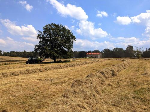 a field of hay with a tree and a house at La Petite Maison dans la Prairie in Pepinster