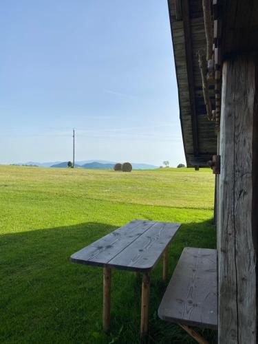a wooden bench sitting in the grass near a field at Temelhof - Landhaus mit Sauna und Kamin in Sittersdorf