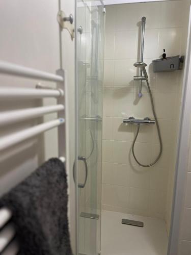 une douche avec une porte vitrée dans une salle de bain dans l'établissement Appartement 1 chambre - Centre-ville, à Bourges