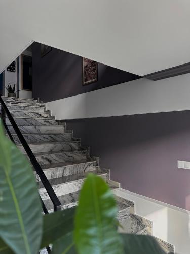 a staircase in a house with stone steps at English House in Bistriţa