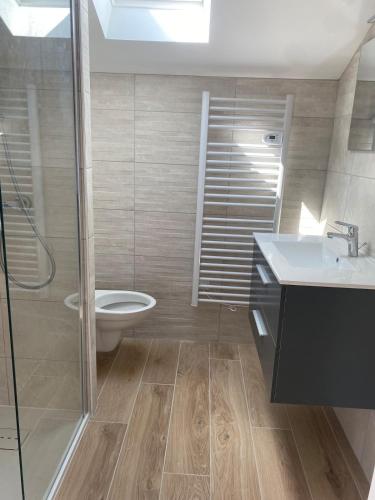 une salle de bain avec toilettes, lavabo et douche dans l'établissement Chalet de pécheur entièrement rénové, proche du Lac Léman, à Anthy