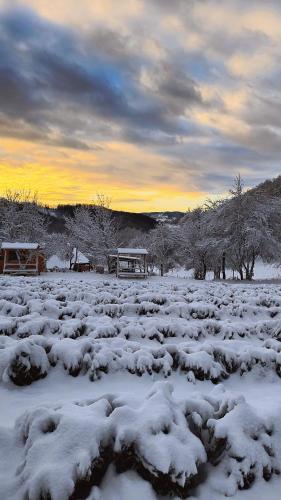 a field covered in snow with a bench and trees at Poiana Stelelor in Văleni