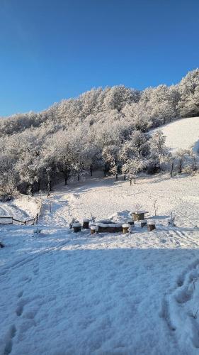 a snow covered field with benches and trees in the background at Poiana Stelelor in Văleni