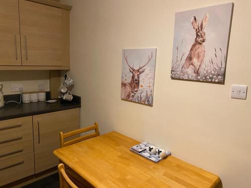 Esviken 2 in heart of Kirkwallにあるキッチンまたは簡易キッチン