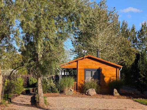 a small wooden shed with a tree in front of it at The Malvern Hills, Courtyard Cabins,Tom Cabin in Great Malvern
