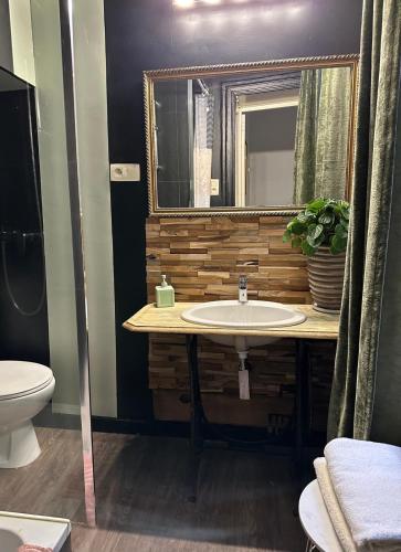 a bathroom with a sink and a mirror at Happy Home in Brussels