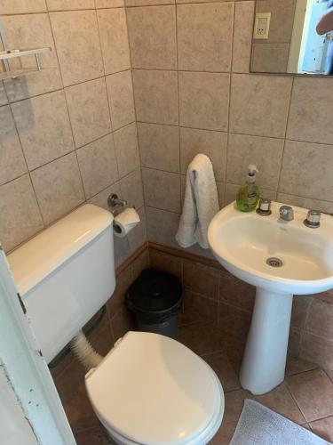 a bathroom with a toilet and a sink at Alamo Hostel & Suites in Mendoza