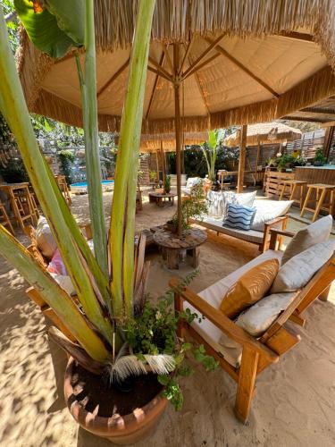 Fotografie z fotogalerie ubytování Surf lodge v destinaci Herzliya B
