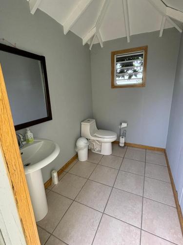 a bathroom with a toilet and a sink at Aleli Cottages in Culebra