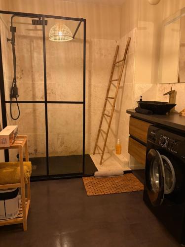 a bathroom with a shower and a washing machine at Le Charmant des Coteaux, Free Parking & Free Wifi in Toulouse