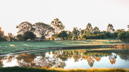a pond in a field with trees in the background at Cabana Container in Venâncio Aires