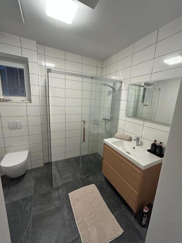 Bilik mandi di Dům pro hosty V Zahradě