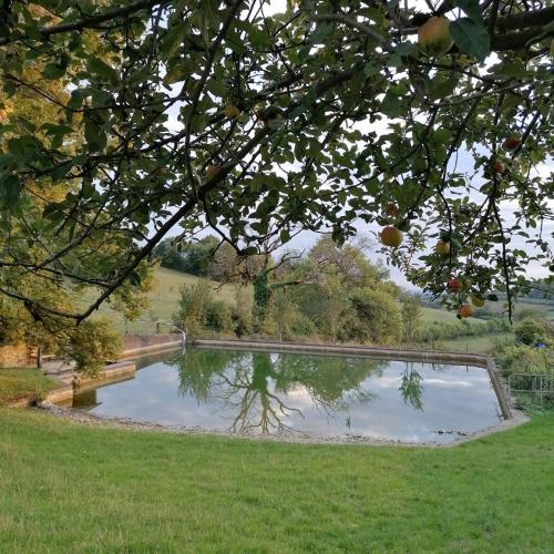 a pond in the middle of a grass field at Domaine de Drémont in Anthien