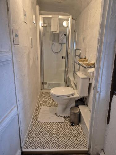 a bathroom with a shower and a toilet and a sink at The Old Court House Guest House in Ross on Wye