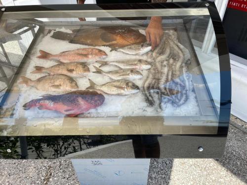 a display case with fish and other seafood on display at Beach Apartment A in Néa Karváli