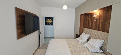 北马马亚-讷沃达里Alecos Apartment Spa&Resort的一间卧室，里面有一张床和一台平板电视