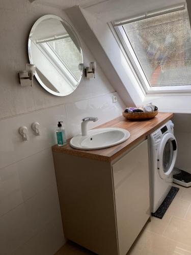 a bathroom with a sink and a mirror at Elbblick Schnackenburg in Schnackenburg
