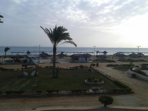 a view of a park with a palm tree and the ocean at Fanara Apartments Armed Forces in Fayed