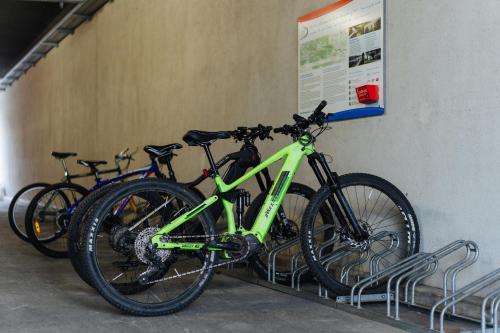 Jízda na kole v ubytování Hotel City nebo okolí