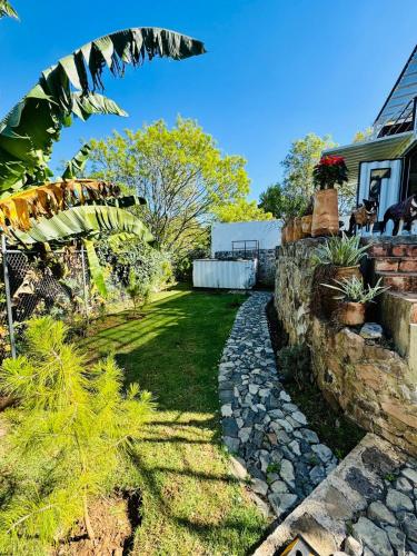 a garden with a stone path next to a house at Pinecone box in Mazamitla