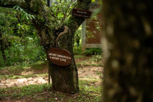 a tree with signs on it in a forest at Treehouse Chalets - Luxury getaway within a short distance of Ella in Belihul Oya