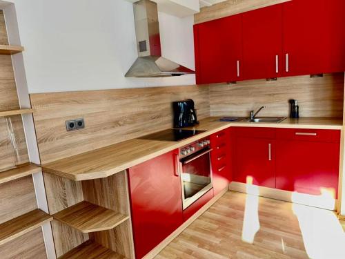 a red kitchen with red cabinets and a sink at Alpinum - die Ferienwohnung in Bad Hindelang