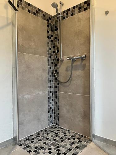 a shower with a glass door in a bathroom at Ferienwohnung 4 Pfoten in Vrees