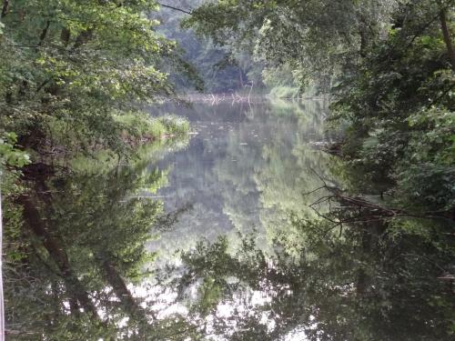 a painting of a river in a forest at Pension Kchischowka in Vetschau