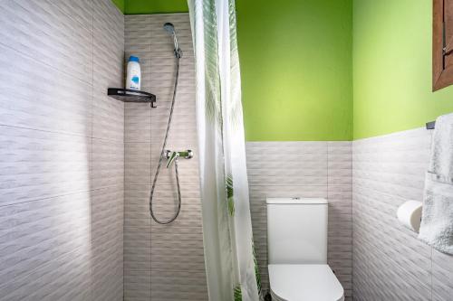 a bathroom with a shower with a toilet in it at Picuastur in Cangas de Onís