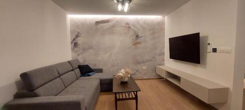 Μια τηλεόραση ή/και κέντρο ψυχαγωγίας στο Cozy Studio Apartment