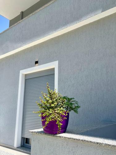 a purple flower pot sitting on a wall next to a garage at Xhefri's Apartments in Vlorë