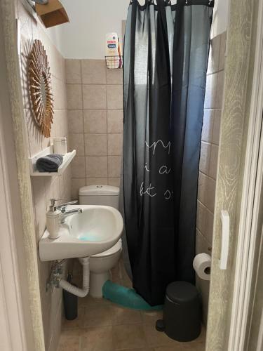 a bathroom with a black shower curtain next to a toilet at Cristi Rooms in Livadi